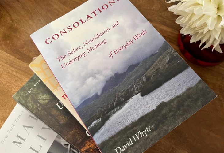 Consolations by David Whyte book review