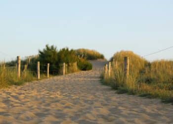 Work life balance Coaching with Karen Rose