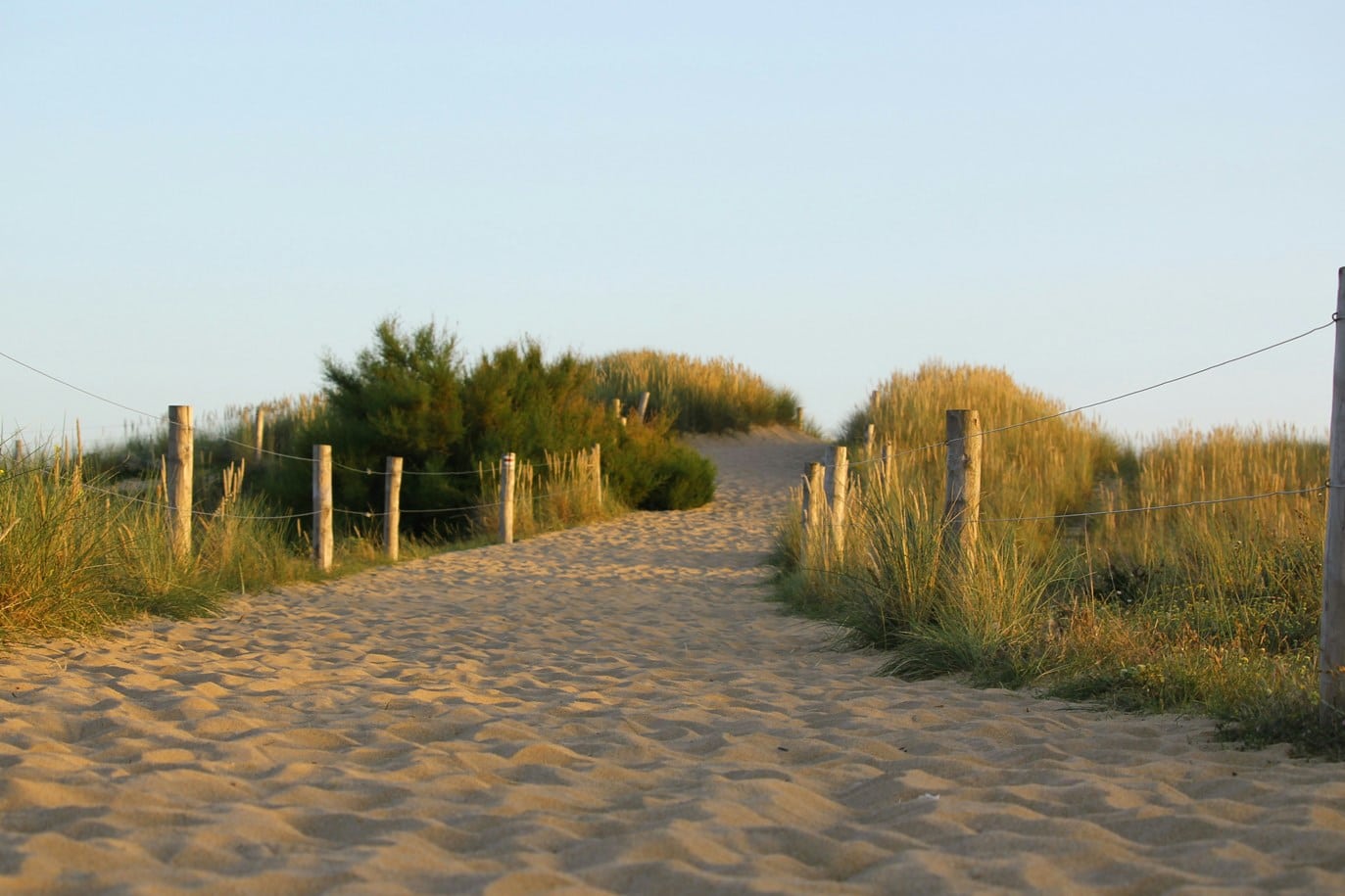 Work life balance Coaching with Karen Rose