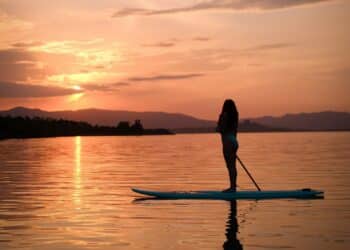 The Lowdown on Burnout, Nervous Exhaustion, and How to Recover by Karen Rose