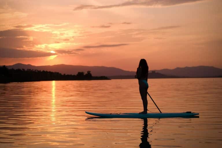 The Lowdown on Burnout, Nervous Exhaustion, and How to Recover by Karen Rose